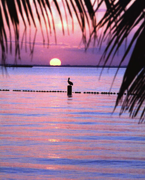 Sunset at Key Biscayne Florida